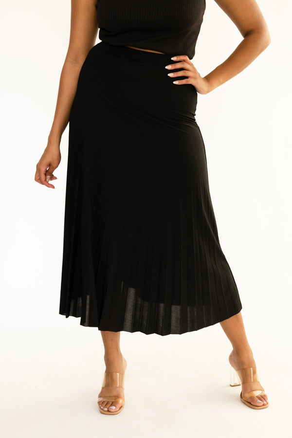 Long Pleated Skirt- D001S