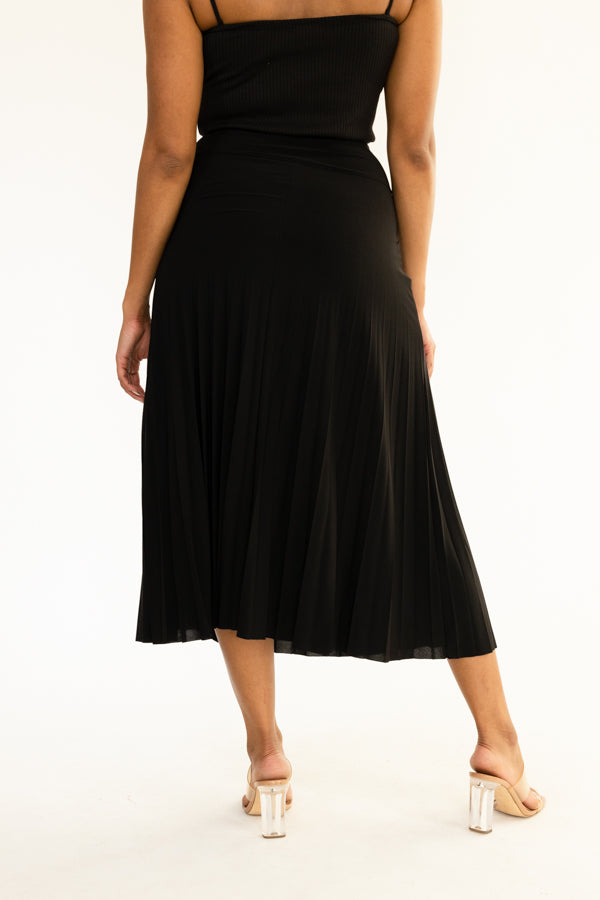 Long Pleated Skirt- D001S