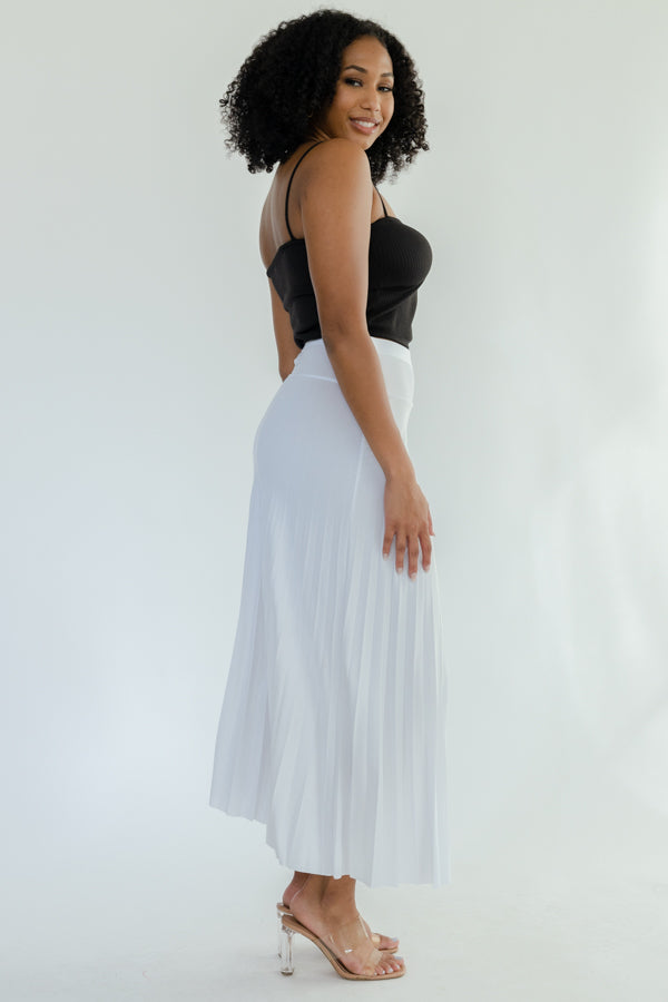 Long Pleated Skirt- D001S