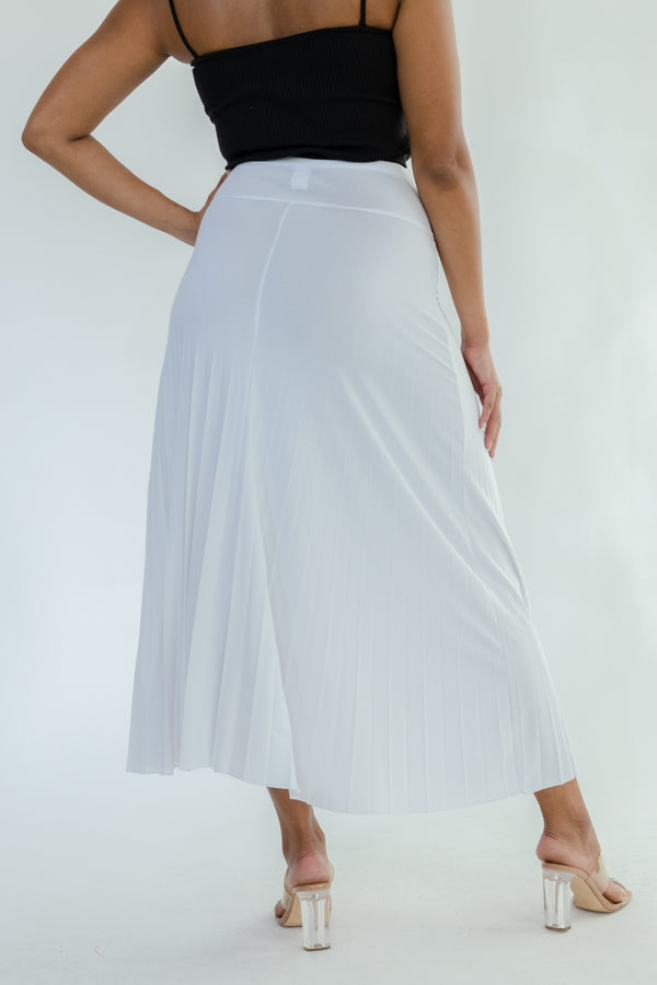 Long Pleated Skirt- D001S
